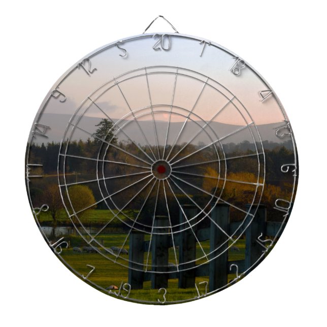 Ireland is Beautiful Dartboard (Front)