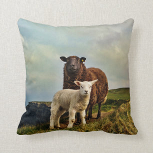 Ireland, Sheep, Cushion