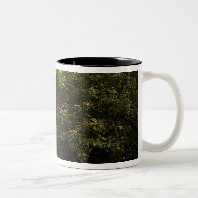 Ireland, the Dromoland Castle walled garden Two-Tone Coffee Mug (Right)
