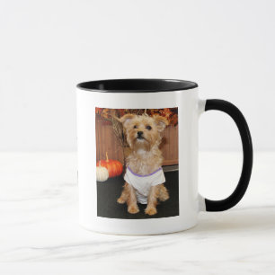 Irene - Shorkie - Photo-3 Mug