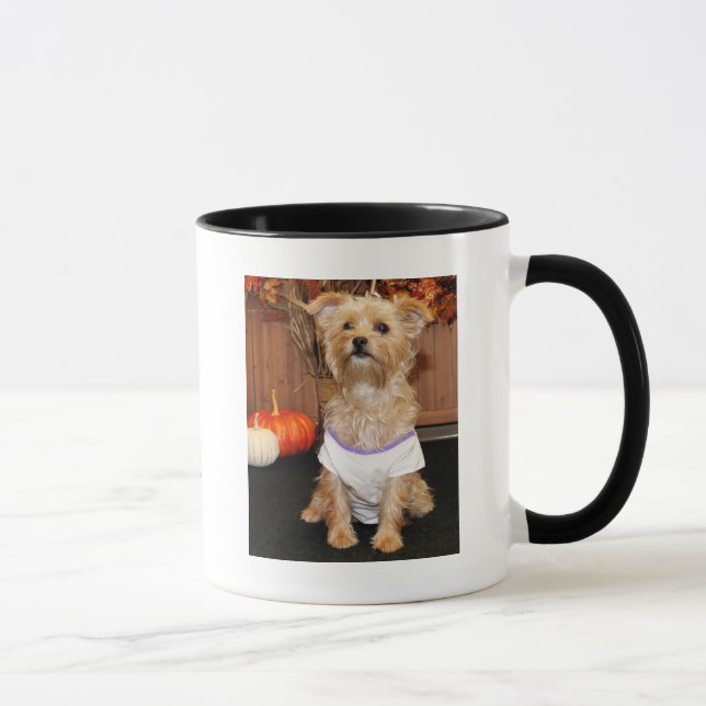Irene - Shorkie - Photo-3 Mug (Right)
