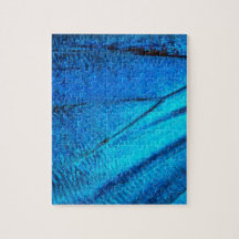 Iridescent Blue Butterfly Wing