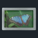 Iridescent Blue with Black Butterfly Wings Belt Buckle<br><div class="desc">Iridescent Blue with Black Butterfly Wings on a green leaf.</div>