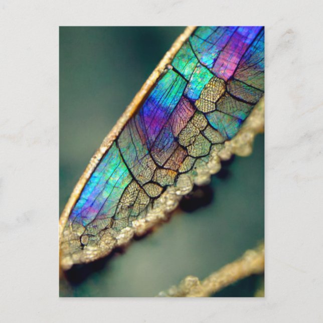 Iridescent dragonfly wing  postcard (Front)