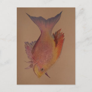 Iridescent Fish Postcard