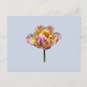 Iridescent holographic Ruffled Tulip Postcard