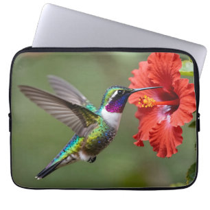 Iridescent Hummingbird Hibiscus Flower Portrait Laptop Sleeve
