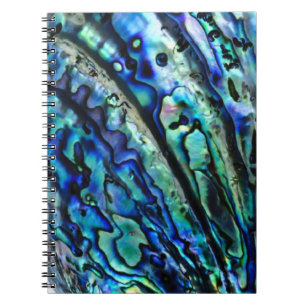 Iridescent Paua Abalone Shell Notebook
