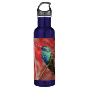 Iridescent Shine 710 Ml Water Bottle