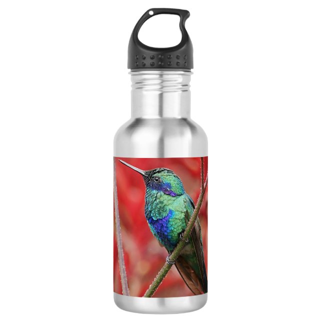 Iridescent Shine 710 Ml Water Bottle (Front)