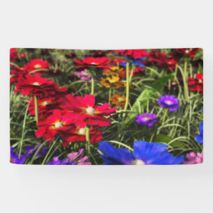 Iridescent Spring Banner