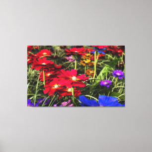 Iridescent Spring Canvas Print