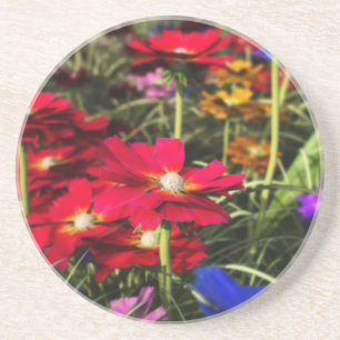 Iridescent Spring Coaster