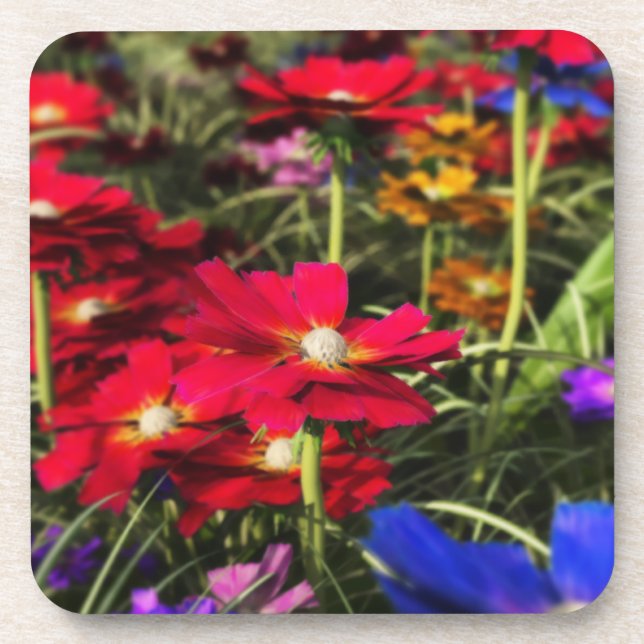 Iridescent Spring Cork Coaster (Front)