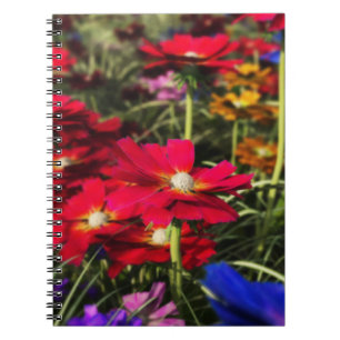 Iridescent Spring Notebook