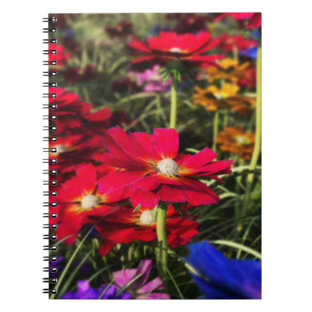Iridescent Spring Notebook (Front)