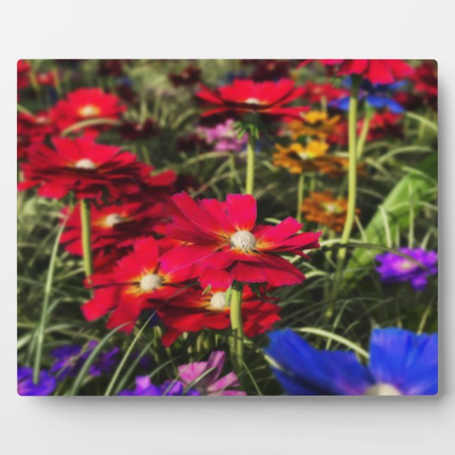 Iridescent Spring Photo Plaque (Front)