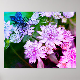 Iridescent Wasp On Flowers Abstract Colours Poster