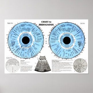 Iridiagnosis Iridology Eye Chart 