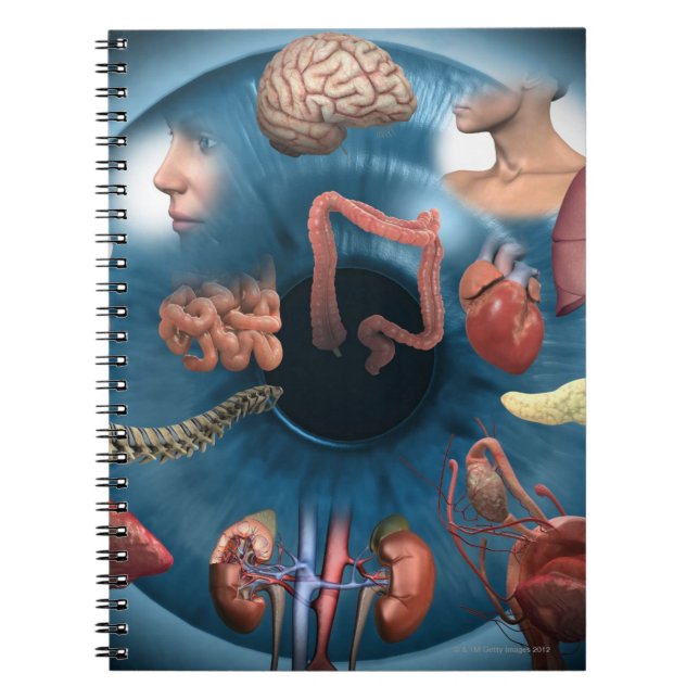 Iridology Notebook (Front)