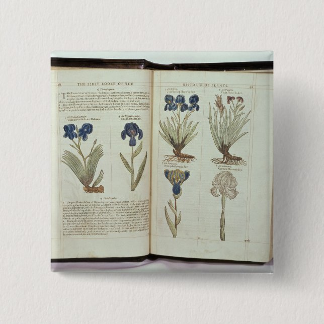 Iris 15 Cm Square Badge (Front)