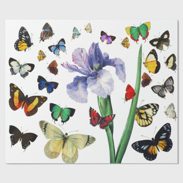IRIS AMONG COLORFUL BUTTERFLIES White Floral Wrapping Paper (Flat)