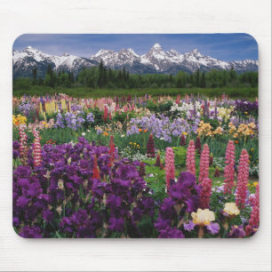 Iris and Lupine garden and Teton Range, Mouse Mat