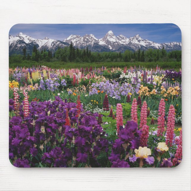 Iris and Lupine garden and Teton Range, Mouse Mat (Front)