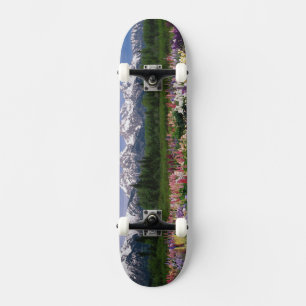 Iris and Lupine garden and Teton Range, Skateboard