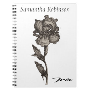 Iris, anonymous, c. 1630 -  1690  notebook