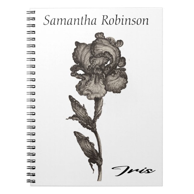 Iris, anonymous, c. 1630 -  1690  notebook (Front)