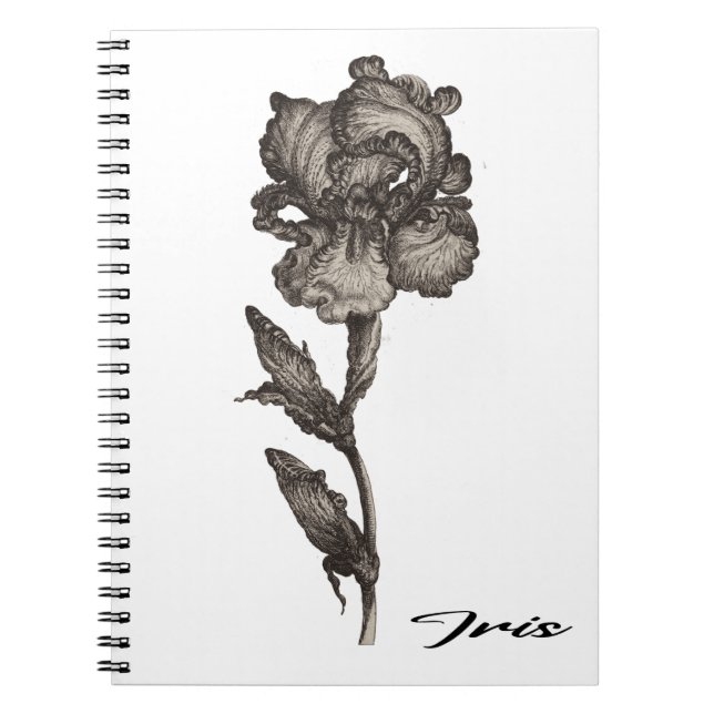 Iris, anonymous, c. 1630 -  1690  notebook (Front)