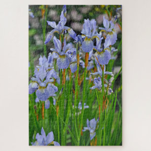 Iris beauties jigsaw puzzle