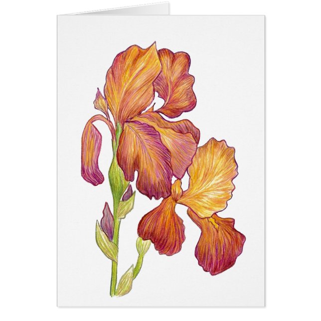 Iris blank inside Card (Front)