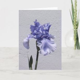 Iris Bloom Card