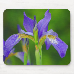Iris Blue Flower Mousepad