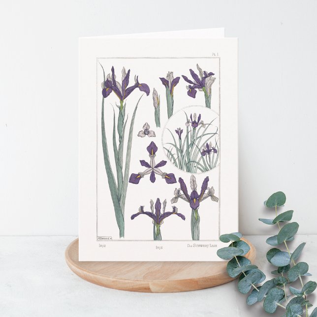 Iris Botanical Maurice Verneuil Blank Card (Creator Uploaded)