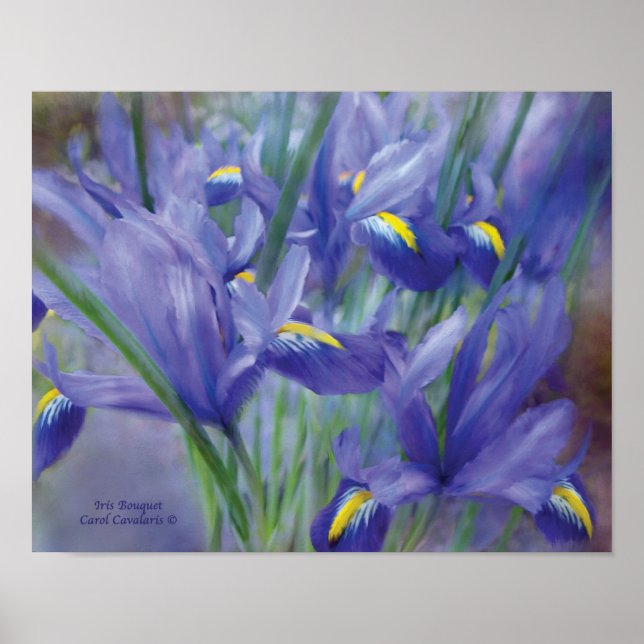 Iris Bouquet Art Poster/Print Poster (Front)