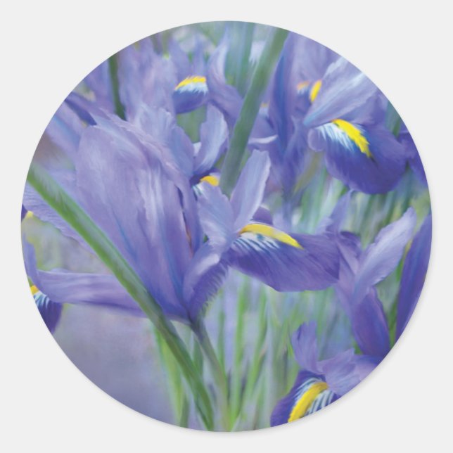 Iris Bouquet Art Sticker (Front)