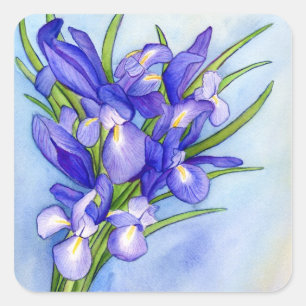 Iris Bouquet Flower Painting Sticker