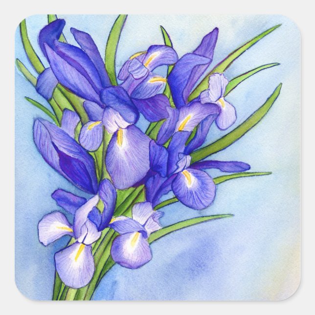 Iris Bouquet Flower Painting Sticker (Front)