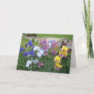 iris brook large blank note card