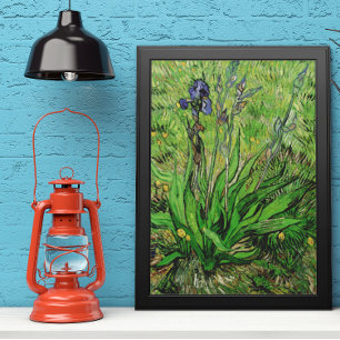 Iris by Vincent van Gogh, Vintage Garden Fine Art Poster