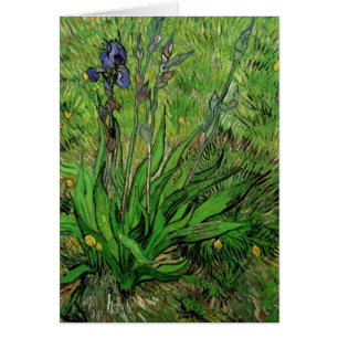 Iris by Vincent van Gogh, Vintage Garden Flowers