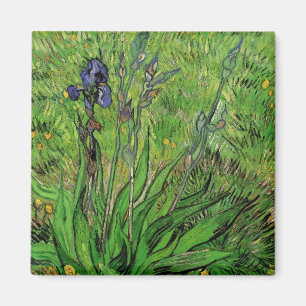 Iris by Vincent van Gogh, Vintage Garden Flowers Magnet