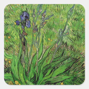 Iris by Vincent van Gogh, Vintage Garden Flowers Square Sticker