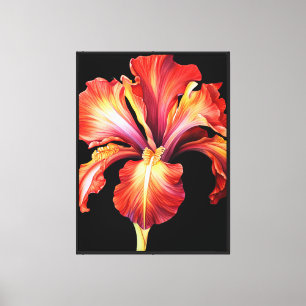 Iris Canvas Wall Art