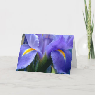 Iris Card