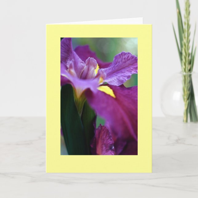 "Iris" Card (Front)