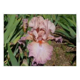 IRIS CARD PRETTY PASTEL - Blank Card